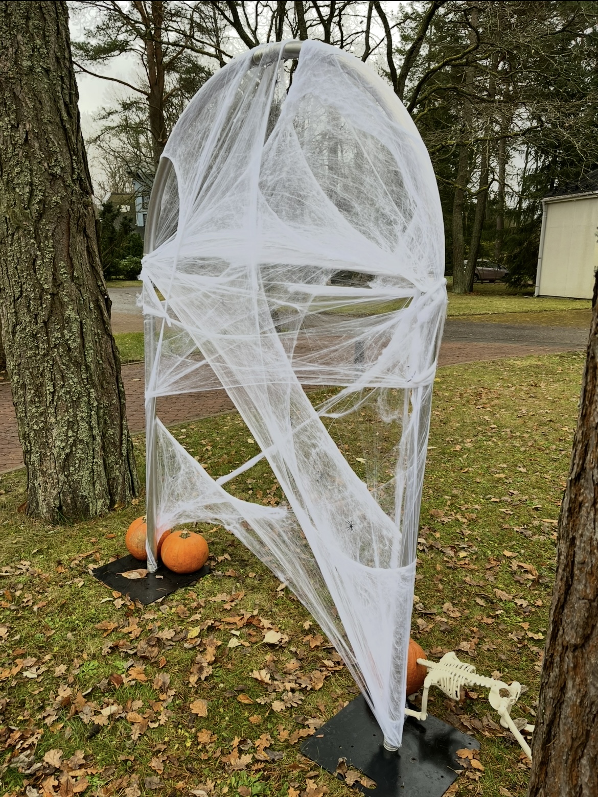 halloweeni peo taustasein.jpeg (1022 KB)